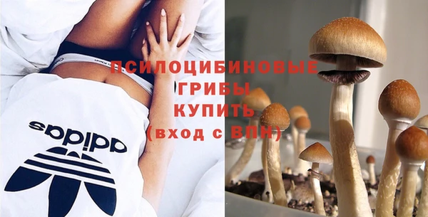 наркотики Ладушкин