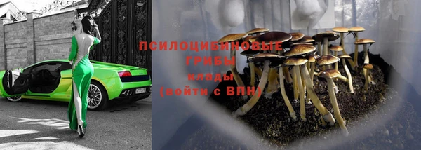 дживик Лабытнанги