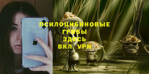 наркотики Ладушкин