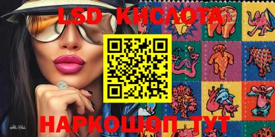 индика Камышлов