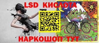 индика Камышлов