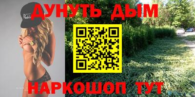 индика Камышлов