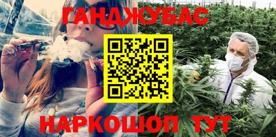 индика Камышлов