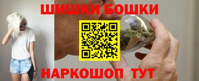 индика Камышлов