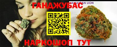 индика Камышлов