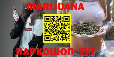 индика Камышлов