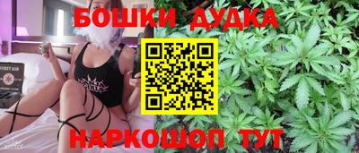 индика Камышлов