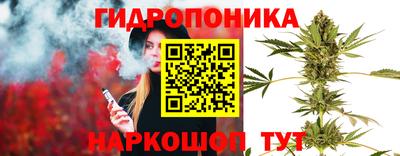 индика Камышлов