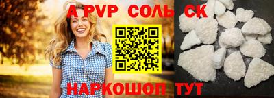 индика Камышлов