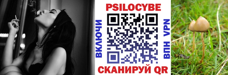 Псилоцибиновые грибы MAGIC MUSHROOMS  купить   Сухой Лог 