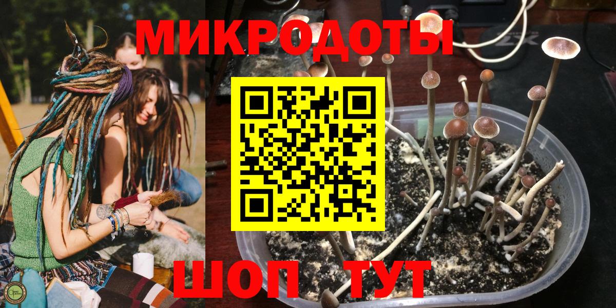 Галлюциногенные грибы прущие грибы  Вход с VPN  Сухой Лог  Галлюциногенные грибы мухоморы 